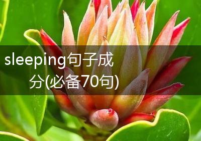 sleeping句子成分(必备70句)