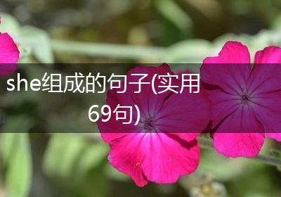 she组成的句子(实用69句)