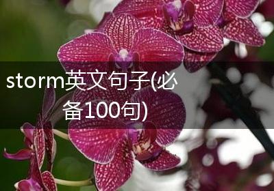storm英文句子(必备100句)