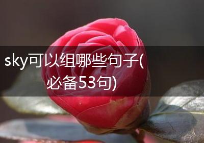 sky可以组哪些句子(必备53句)