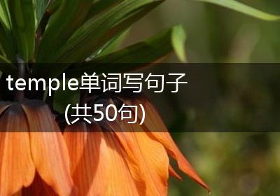 temple单词写句子(共50句)