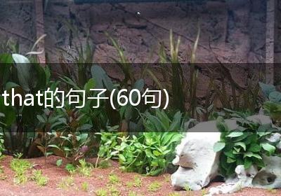 that的句子(60句)
