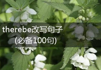 therebe改写句子(必备100句)
