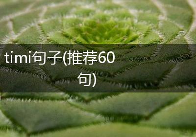 timi句子(推荐60句)