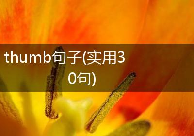 thumb句子(实用30句)