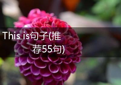 This is句子(推荐55句)