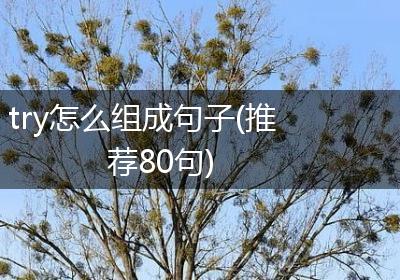 try怎么组成句子(推荐80句)