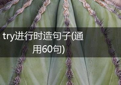 try进行时造句子(通用60句)