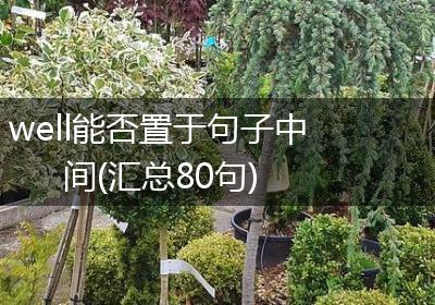 well能否置于句子中间(汇总80句)