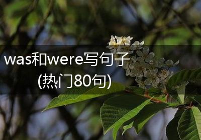 was和were写句子(热门80句)