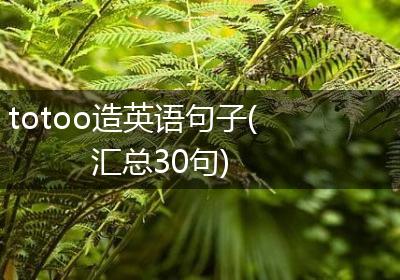 totoo造英语句子(汇总30句)