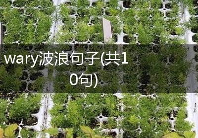 wary波浪句子(共10句)