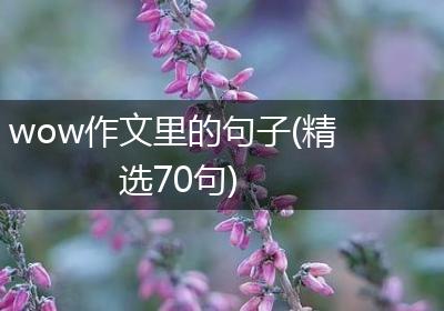 wow作文里的句子(精选70句)