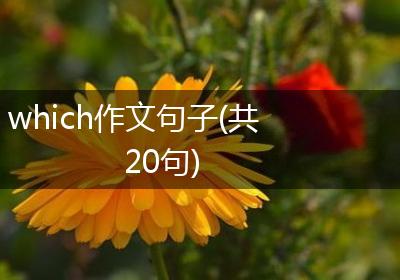 which作文句子(共20句)