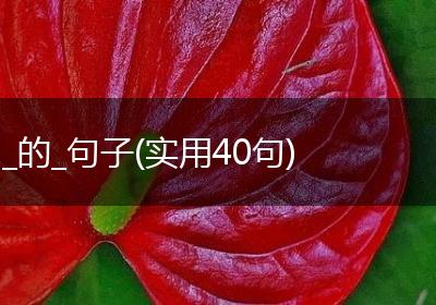 _的_句子(实用40句)