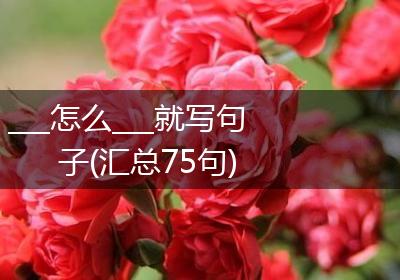 ___怎么___就写句子(汇总75句)
