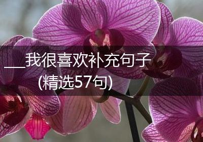 ___我很喜欢补充句子(精选57句)