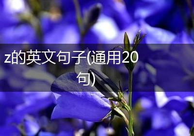z的英文句子(通用20句)