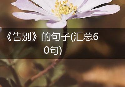 《告别》的句子(汇总60句)