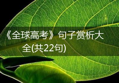 《全球高考》句子赏析大全(共22句)