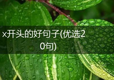 x开头的好句子(优选20句)