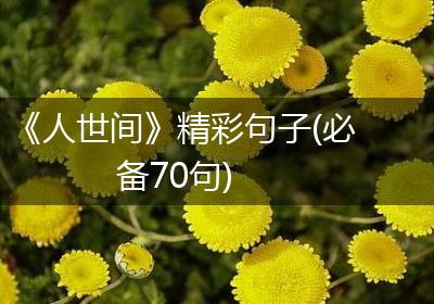 《人世间》精彩句子(必备70句)