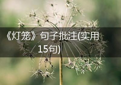 《灯笼》句子批注(实用15句)