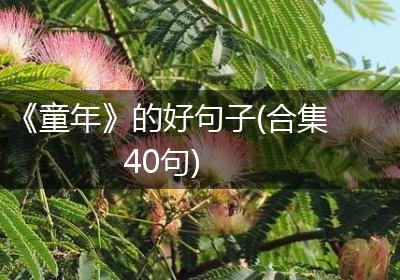 《童年》的好句子(合集40句)