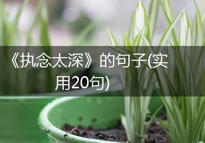 《执念太深》的句子(实用20句)
