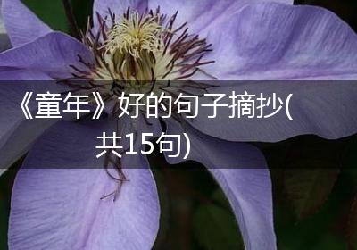 《童年》好的句子摘抄(共15句)