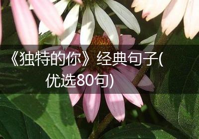 《独特的你》经典句子(优选80句)
