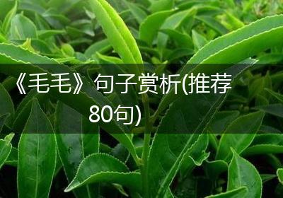 《毛毛》句子赏析(推荐80句)