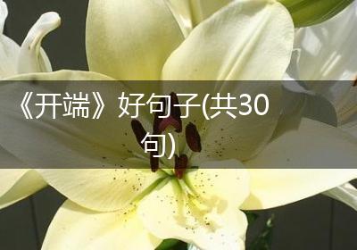 《开端》好句子(共30句)