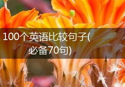 100个英语比较句子(必备70句)