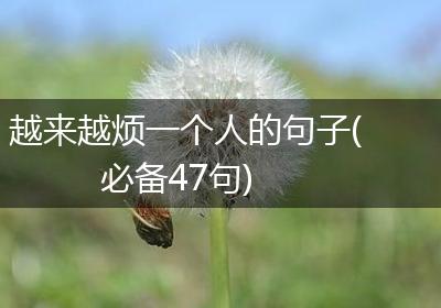 越来越烦一个人的句子(必备47句)