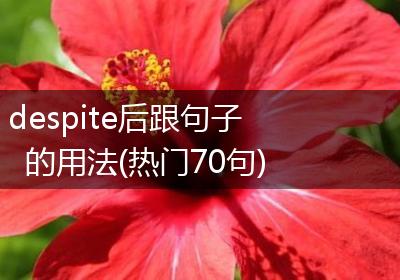despite后跟句子的用法(热门70句)