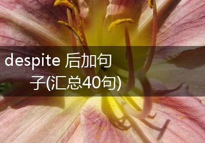 despite 后加句子(汇总40句)