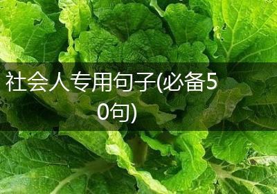 社会人专用句子(必备50句)