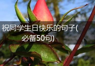 祝同学生日快乐的句子(必备50句)