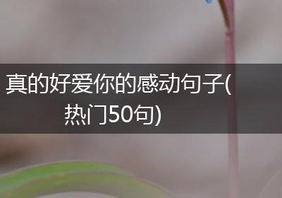 真的好爱你的感动句子(热门50句)