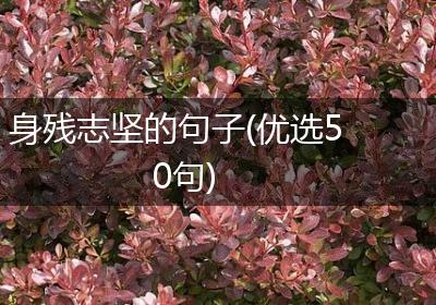 身残志坚的句子(优选50句)