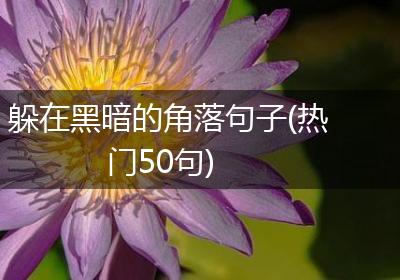 躲在黑暗的角落句子(热门50句)