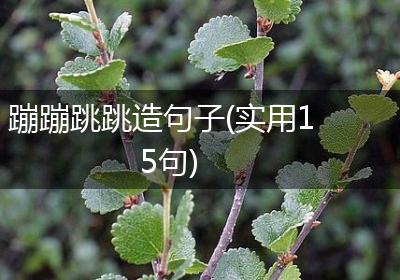 蹦蹦跳跳造句子(实用15句)