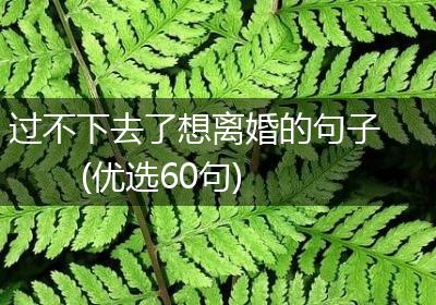 过不下去了想离婚的句子(优选60句)