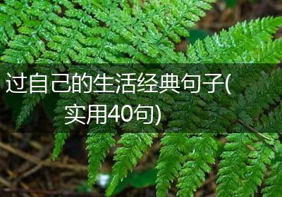 过自己的生活经典句子(实用40句)