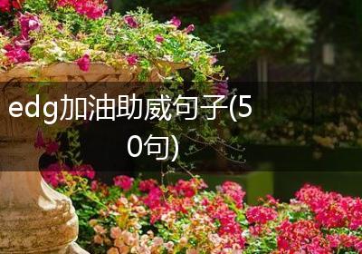 edg加油助威句子(50句)