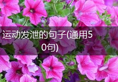 运动发泄的句子(通用50句)