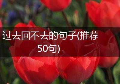 过去回不去的句子(推荐50句)