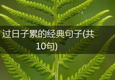 过日子累的经典句子(共10句)