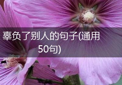 辜负了别人的句子(通用50句)
